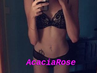 AcaciaRose