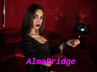 AlmaBridge