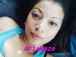 Aria_Maze