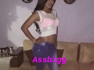 Assbigg