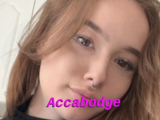 Accabodge