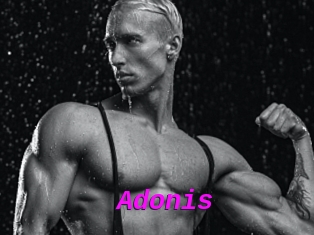 Adonis_