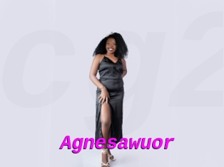 Agnesawuor