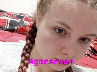 Agnesevan