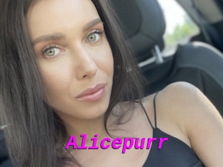 Alicepurr