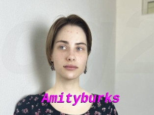 Amityburks