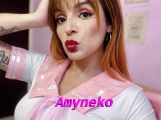 Amyneko