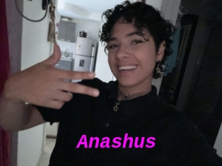 Anashus