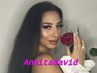 Annitadavid