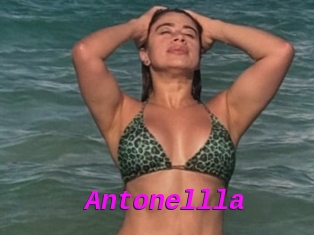 Antonellla