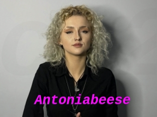 Antoniabeese