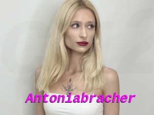 Antoniabracher