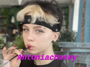 Antoniachasey