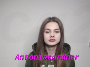 Antoniacordner