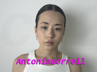Antoniacorrell