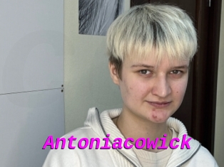 Antoniacowick