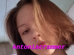 Antoniacrammer