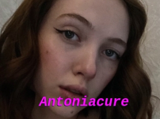 Antoniacure