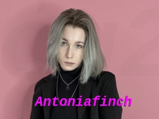 Antoniafinch