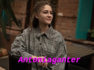 Antoniaganter