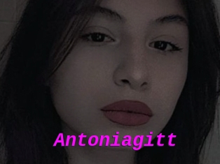 Antoniagitt