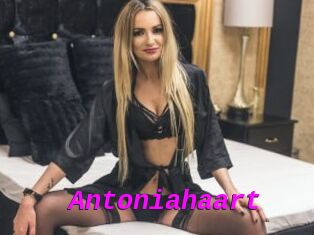 Antoniahaart