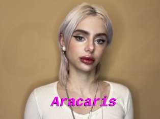 Aracaris