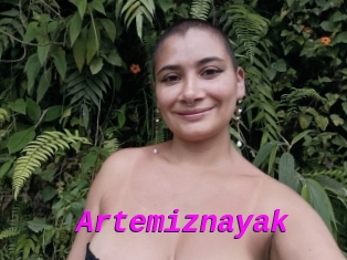 Artemiznayak