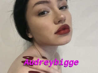 Audreybigge