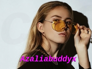 Azaliabuddyx