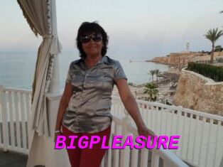 BIGPLEASURE