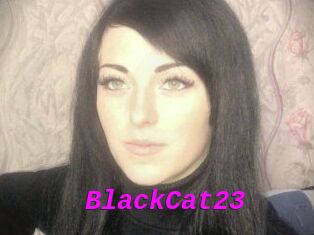 BlackCat23