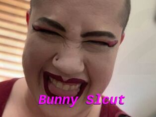 Bunny_Slcut