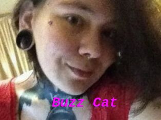 Buzz_Cat