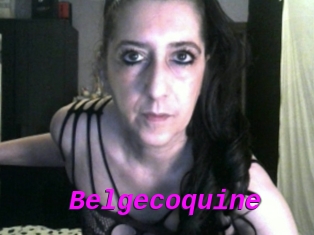 Belgecoquine