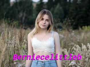 Berniecelittleb