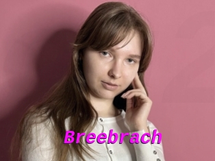 Breebrach