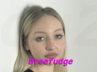 Breefudge