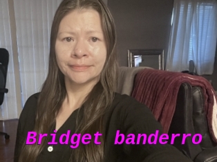 Bridget_banderro