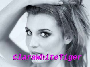 ClaraWhiteTiger