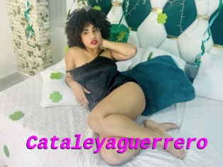 Cataleyaguerrero