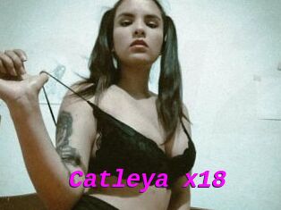 Catleya_x18