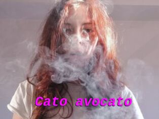 Cato_avocato