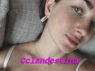 Cclandestina