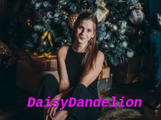 DaisyDandelion