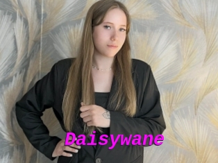 Daisywane