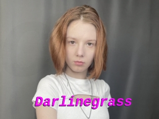 Darlinegrass