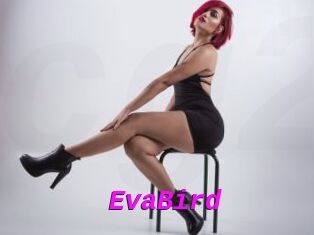 EvaBird