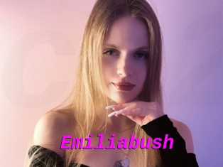 Emiliabush