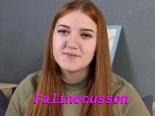 Falinecusson